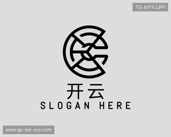 介绍开云体育在线