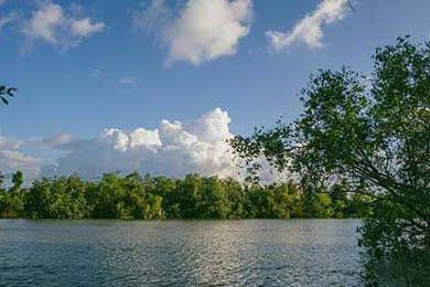 新疆男篮引进新外援提升锋线火力，新疆男篮的外援新情况