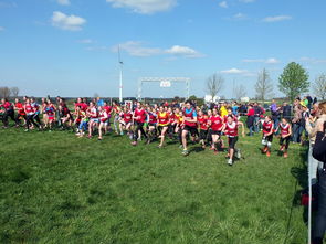 开云体育下载-青少年体育运动社会支持系统研究，青少年体育运动社会支持系统研究现状