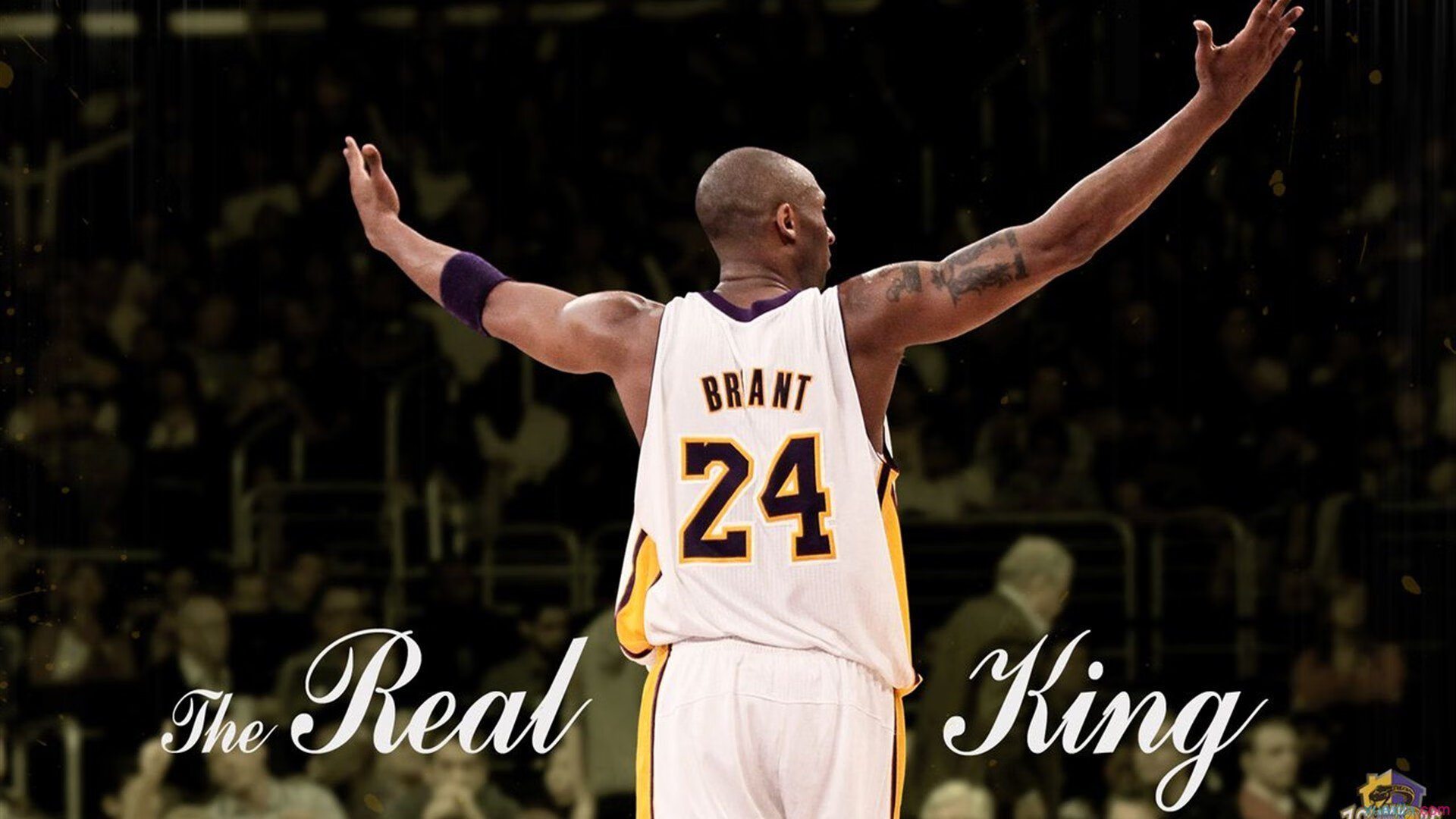 戴维·帕特森的全能型打法，让袋鼠队在攻防两端无懈可击，帕特里克·戴维森